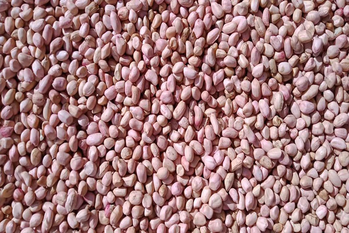 Red Groundnuts